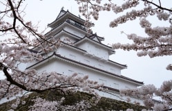 Tsuruga Castle / Fukushima