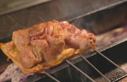 Hinajidori (Hina local chicken) / Akita