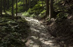 Nakasendo - der alte Handelsweg