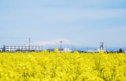 Mt. Chokai / Yamagata