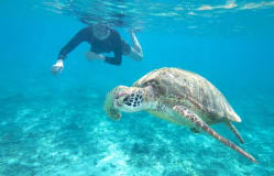 Okinawa Welcome Guide for Muslim Visitors