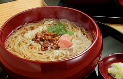 Inaniwa Udon / Akita