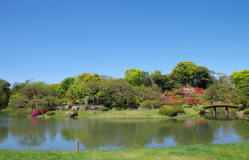 Garden Adventure Around Kanto in 4 Days