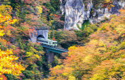 Halal Miyagi - Visit Miyagi