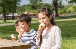 Koiwai Farm Soft Serve / Iwate