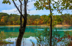 Goshikinuma Ponds / Fukushima