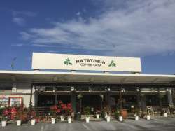 Matayoshi Coffee Farm