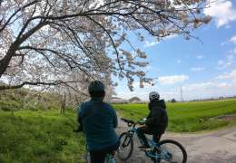 Seperti ini Rasanya Menjadi Warga Lokal di Biwako!