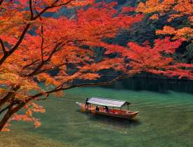 tour operators to japan