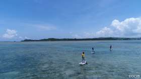 stand up paddleboard