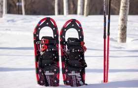 A snowshoe in Lake Mashu