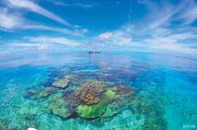 Okinawa's rich coral reefs