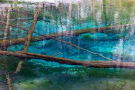 Kaminoko-ike pond in eastern Hokkaido’s forests