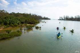 kayak around the beautiful coastline of Yanbaru National Park