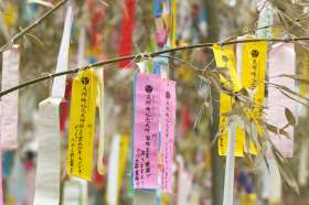 wishes written on long, narrow strips of coloured paper called tanzaku