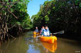 kayak around the beautiful coastline of Yanbaru National Park