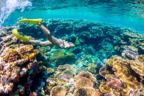 diving in Okinawa island groups