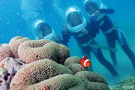 diving and sea Walk at Okinawa