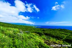 Hachijo Island