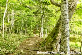 Shiretoko peninsula in Hokkaido