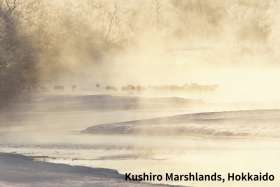 Kushiro Marshlands in Hokkaido