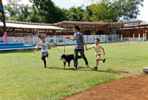 Get Up Close To Hundreds Of Pooches At Wan Wan Land Travel Japan Jnto
