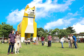 Get Up Close To Hundreds Of Pooches At Wan Wan Land Travel Japan Jnto