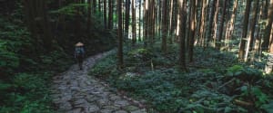 Trek Along the Historical Nakasendo