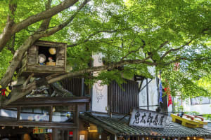 到東京西部參觀寺院及其周邊老街，來一趟時光旅行，與老東京相遇。