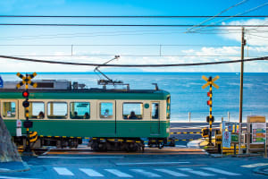 到江之島遊艇碼頭，觀賞東京奧運帆船比賽的精彩賽事吧