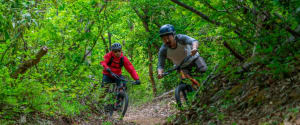 Cycling Down Mountains