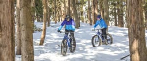 Fat Bike Down the Woods