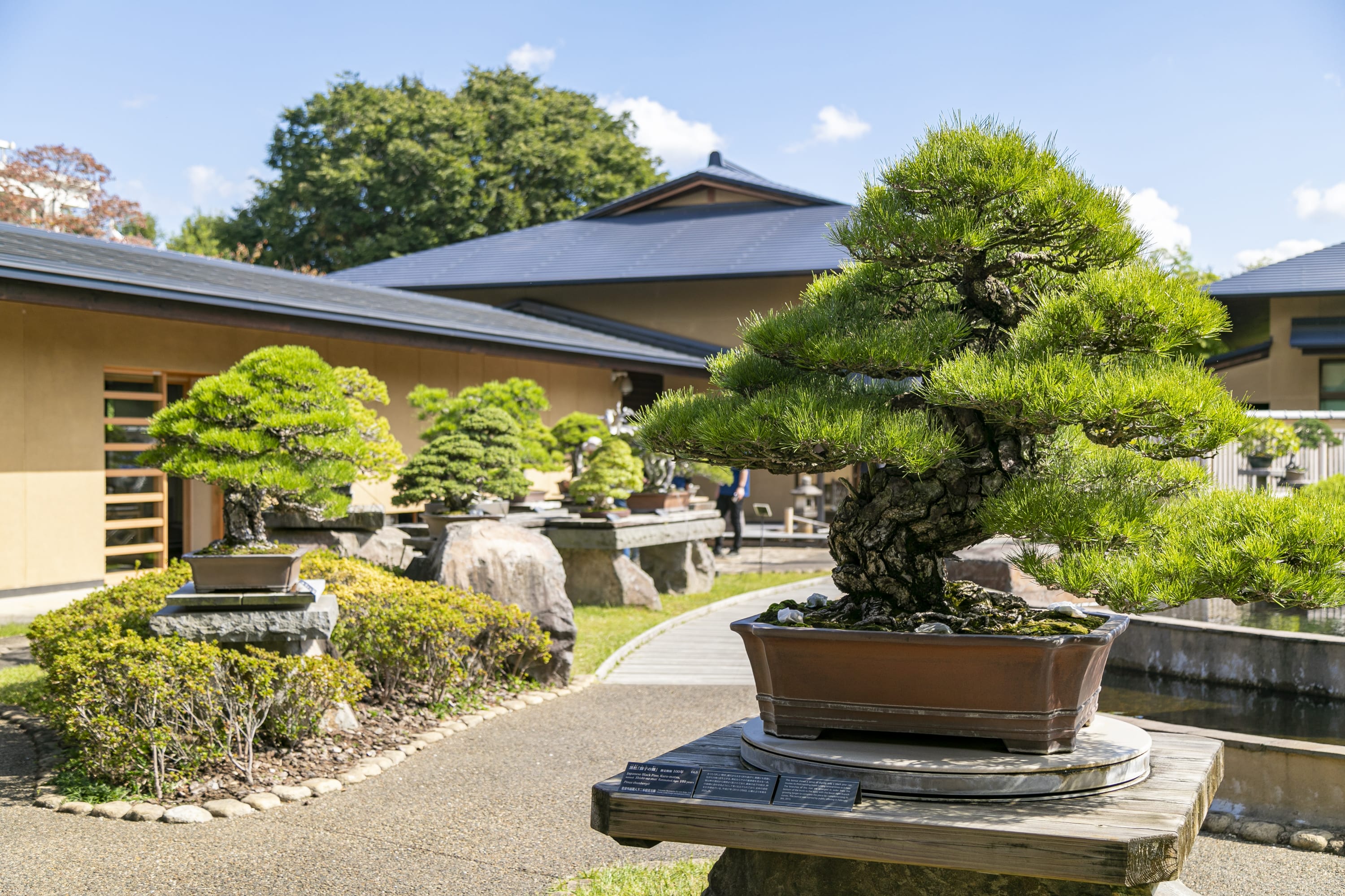 Omiya Bonsai Village
