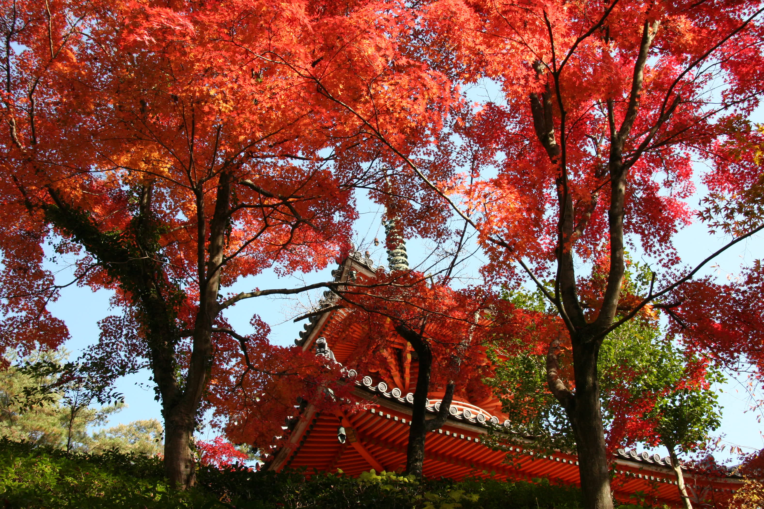 weekend travel hiroshima