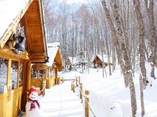 Ningle Terrace village in a magical forest