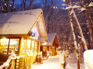 Ningle Terrace village in a magical forest