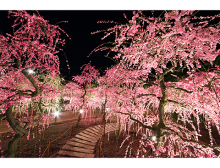 Nabana no Sato Light festival