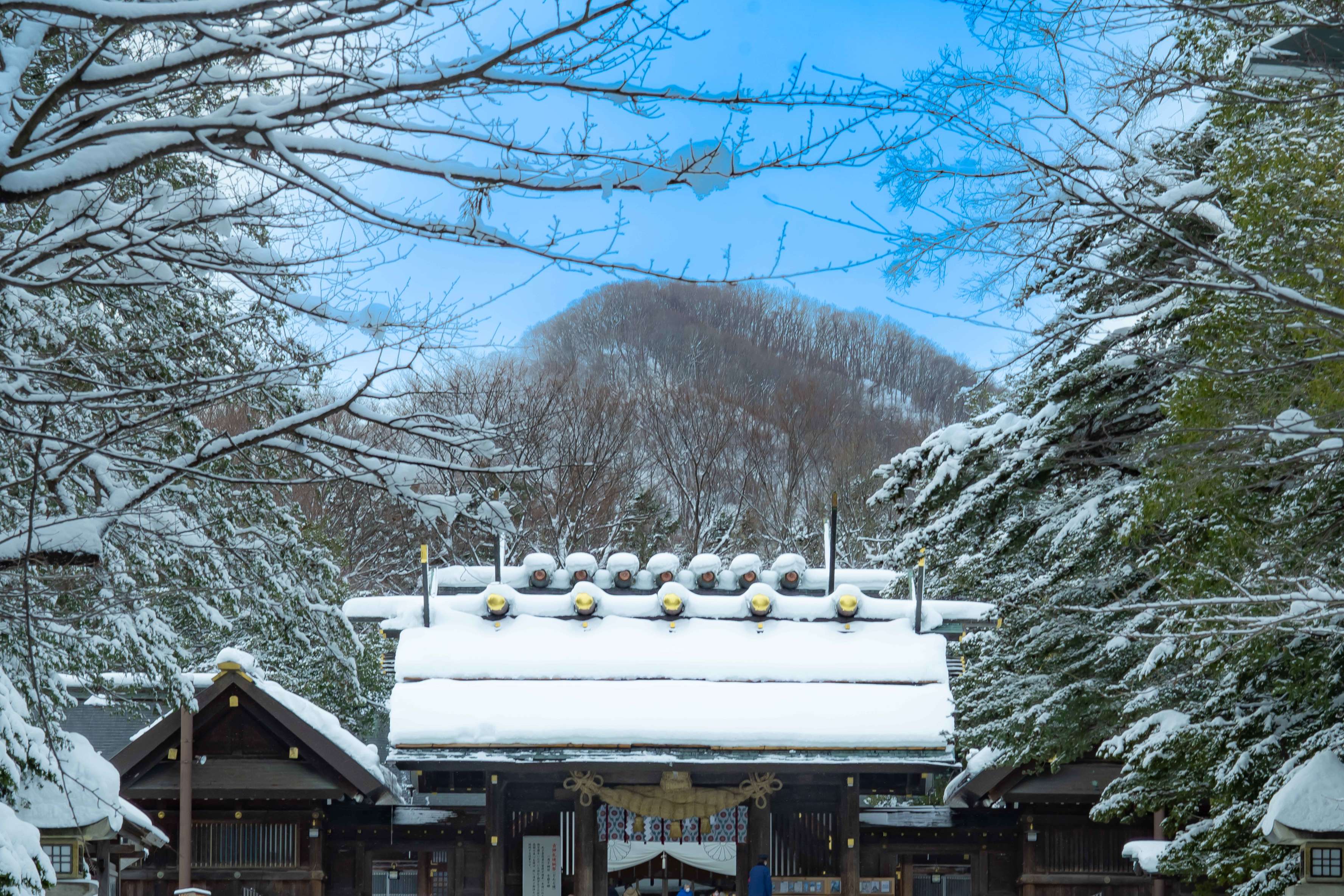 sapporo winter tourist attractions