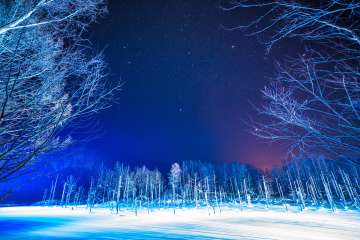 The Blue Pond tucked in the lush forests of Biei in Hokkaido at night