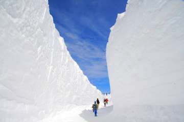 雪の回廊ウォーク