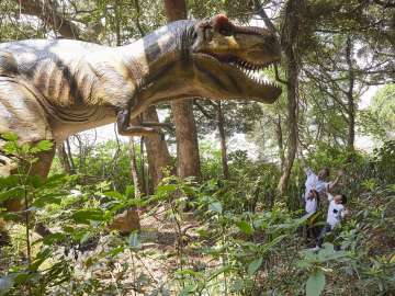 Jurassic island in Nagasaki