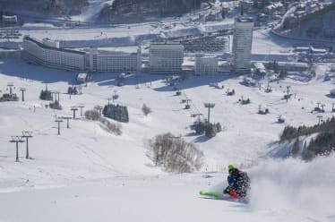 Mt.Naeba / Naeba Ski Resort