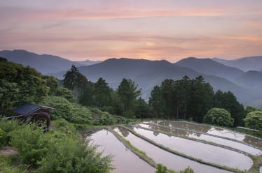 Find Your Spiritual Side on the Kumano Kodo Trail