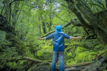 Kyushu (Yakushima)