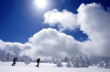 Shigakogen Yakebitaiyama Snow Resort