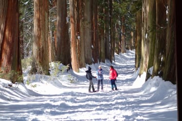 Snowshoeing in Togakushi