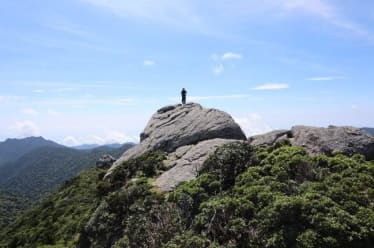 20. Trek and Water activities in the World heritage mystery island, YAKUSHIMA