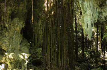 Valley of Gangala