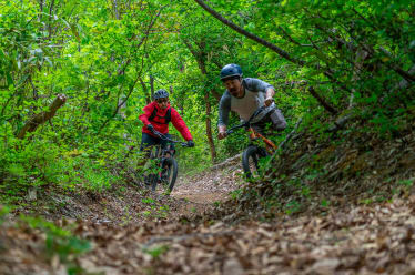 Mountain Biking in Nozawaonsen