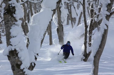 多樣化滑雪道